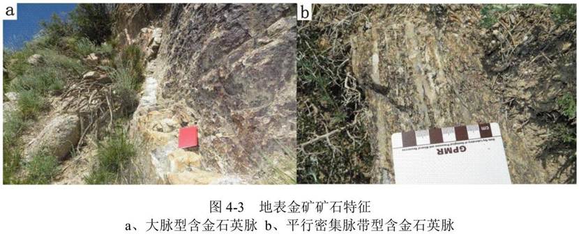 新疆和静县察汗乌苏金矿普查地质报告(1)_00 - 副本