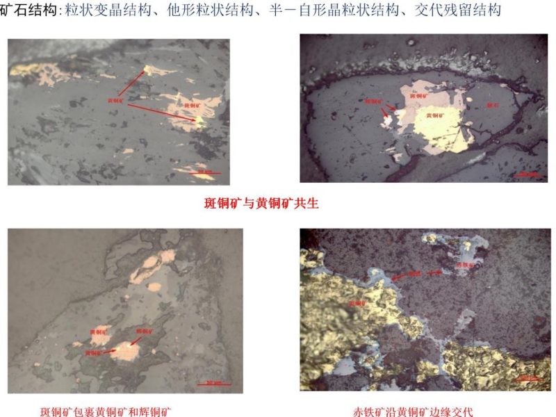图片7