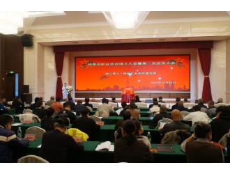 凝聚行业合力 共谱矿业新篇